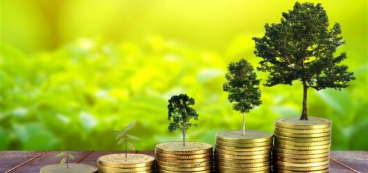 £20m in National Lottery funding backs six community nature projects throughout the UK